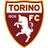 Torino logo