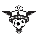 Halcones Negros